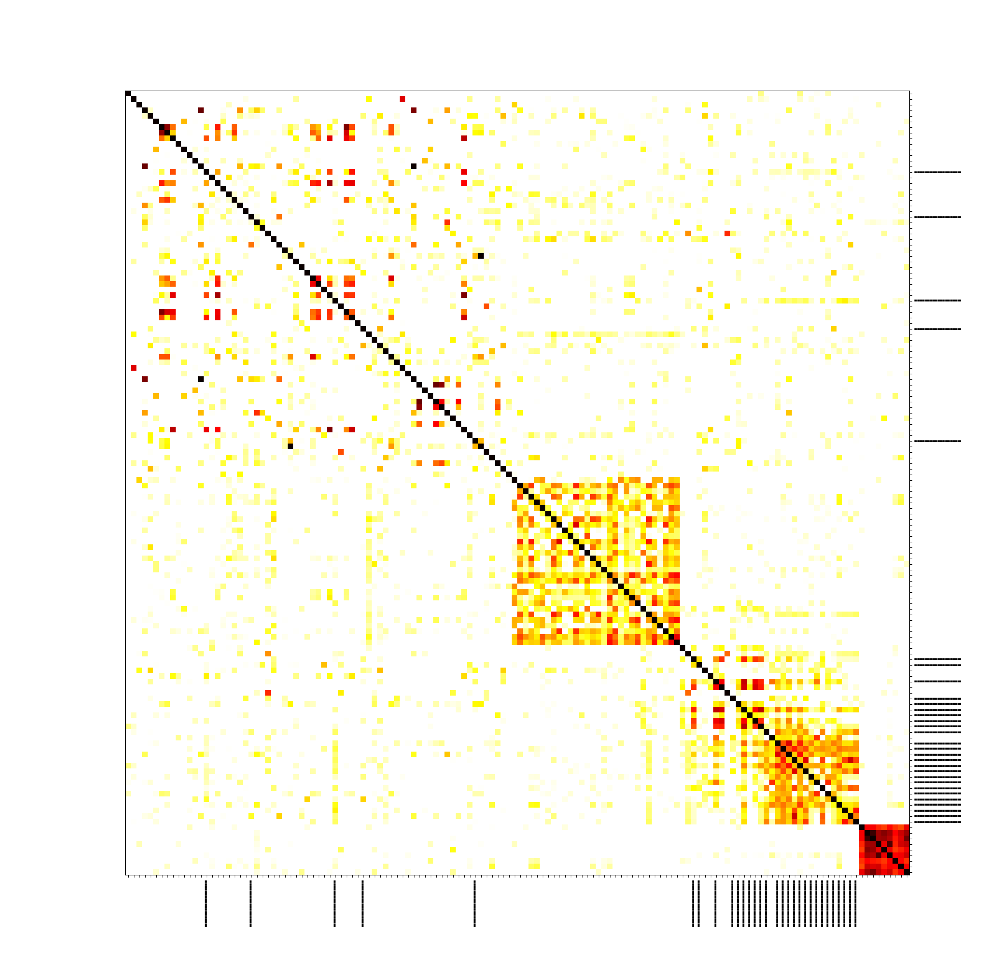 Result for Bitcoin testnet